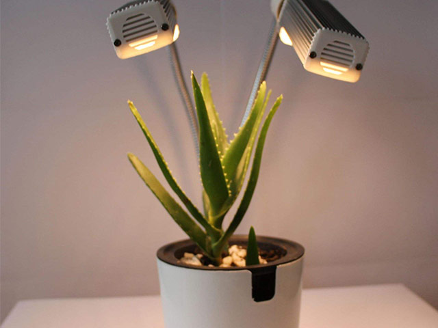 LED plant grow light